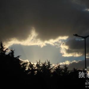 Image description