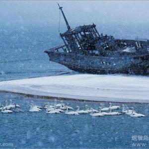 Image description